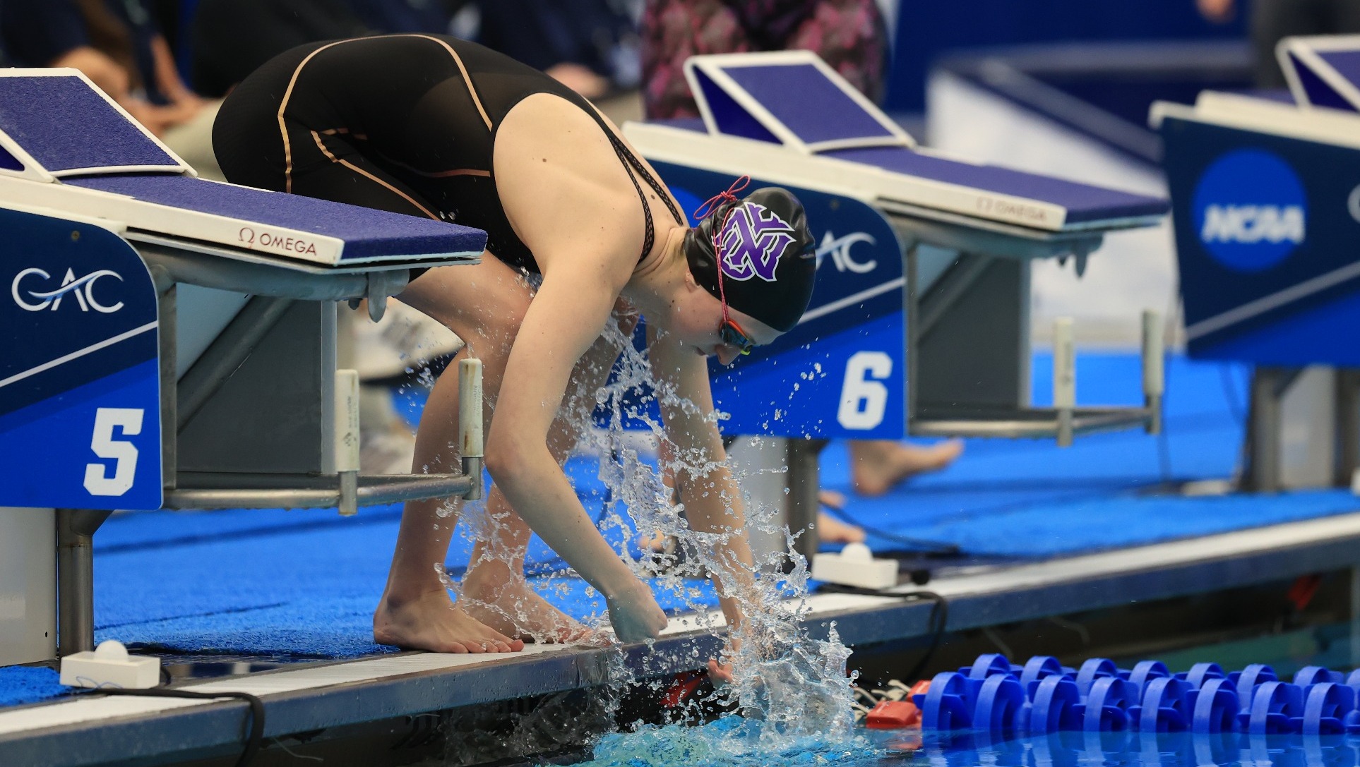 Kaley McIntyre 202223 Women's Swimming & Diving NYU Athletics