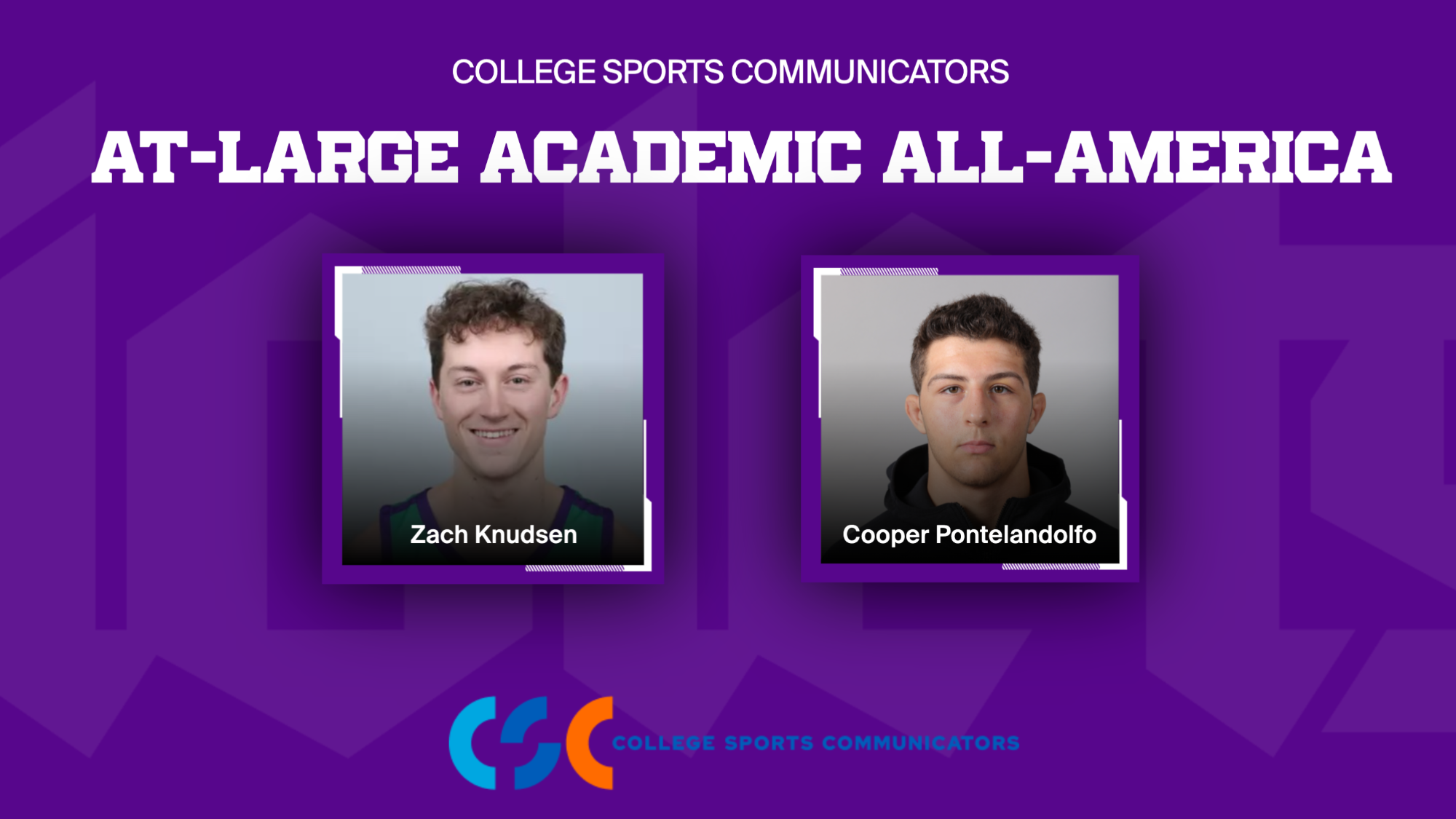 AT-LARGE ACADEMIC ALL-AMERICA