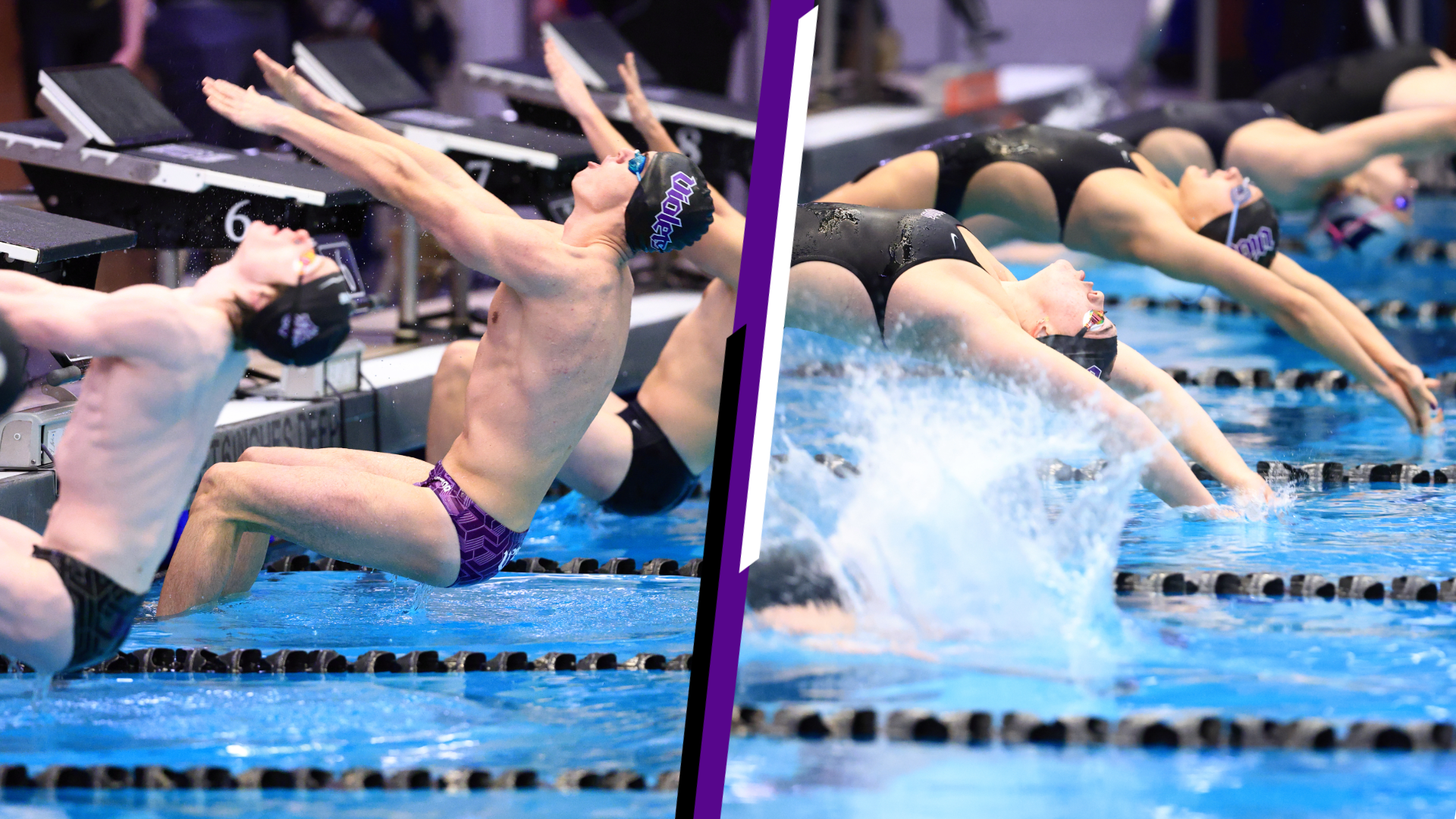 NYU S&D CSCAA