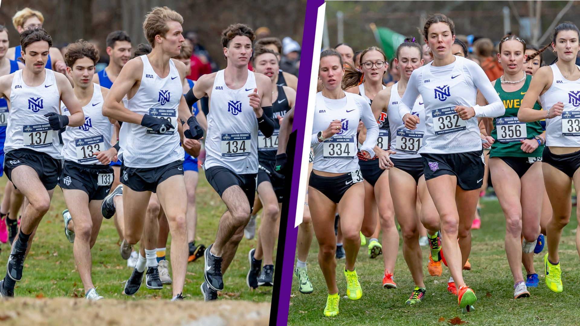 USTFCCCA Academic Awards