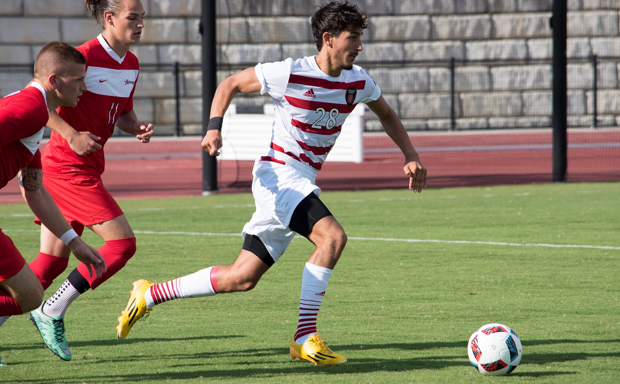 Francesco Casucci 2016 Men's Soccer NC State University Athletics