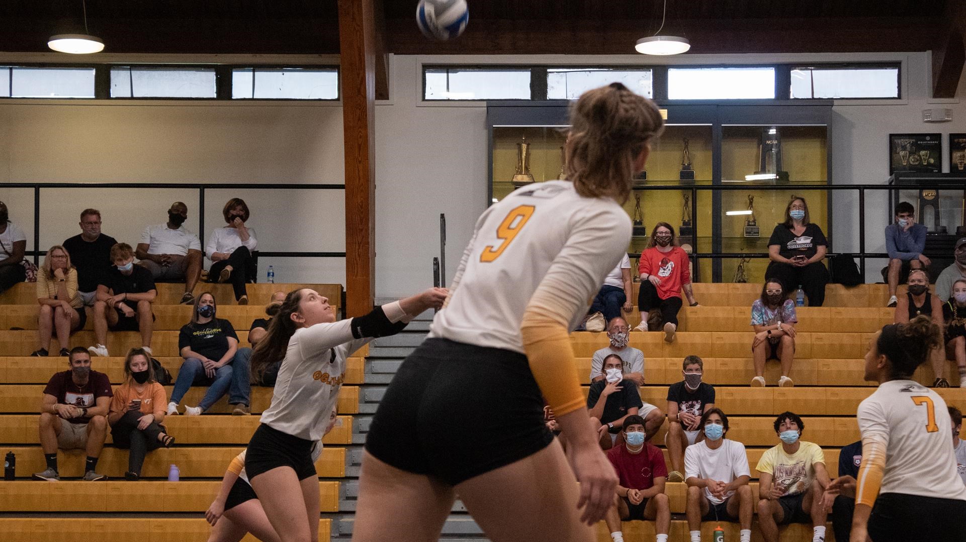 Sophia St. Clair 2022 Women's Volleyball Oglethorpe University