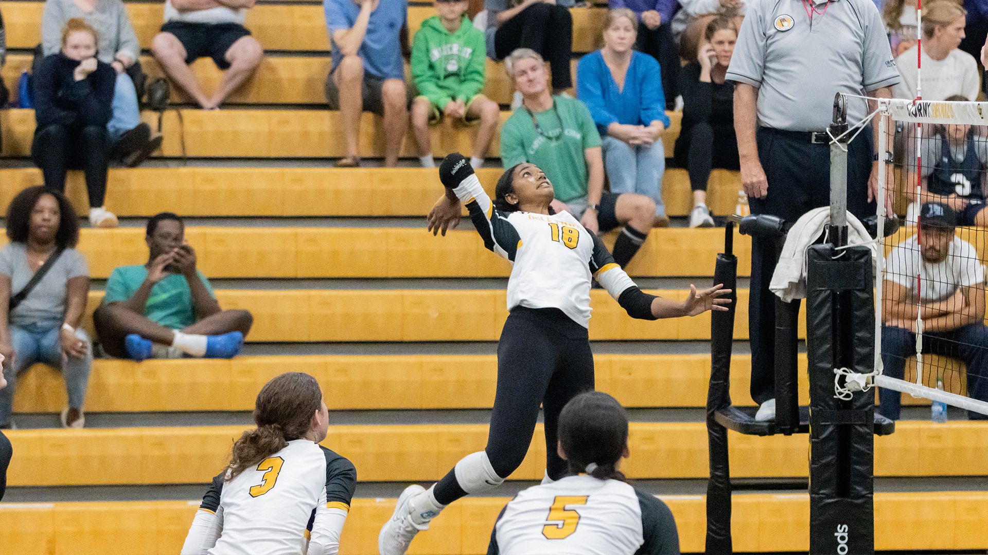 Hannah Palmer - 2023 - Womens Volleyball - Oglethorpe University