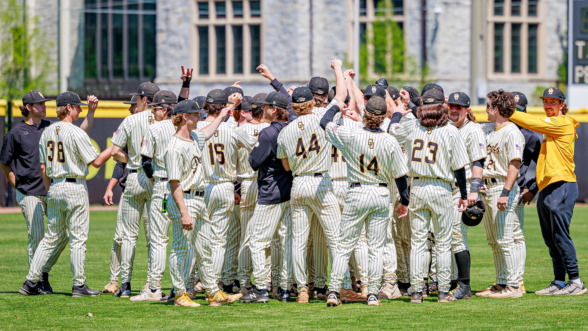 Baseball Team Group Huddle