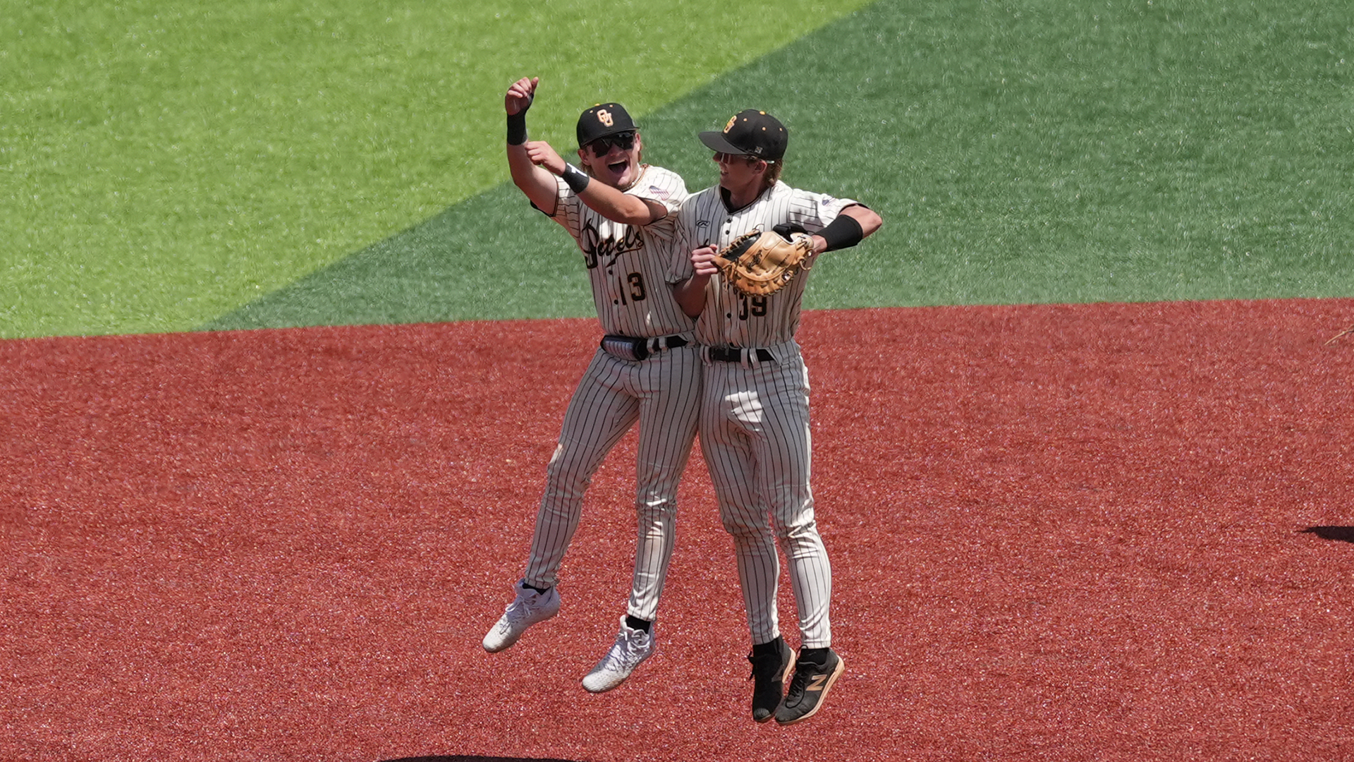 Baseball Celebration