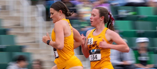 WTrack