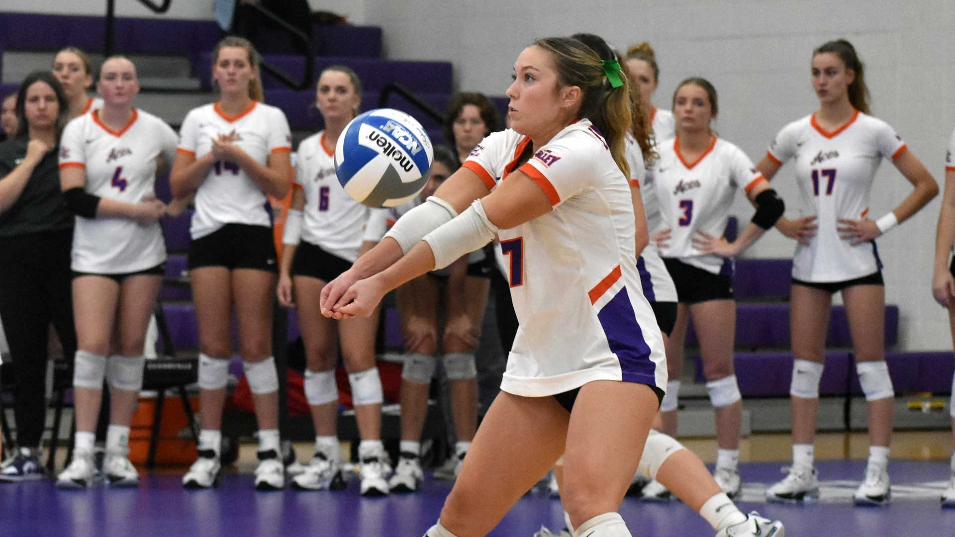 Blakeley Freeman Volleyball University of Evansville Athletics