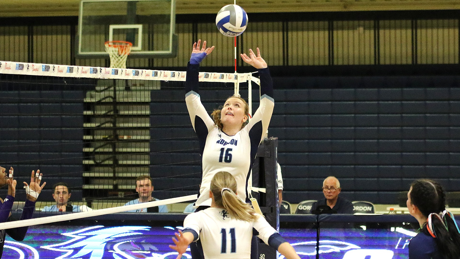 WVB25_CURRY_Doyle1_web