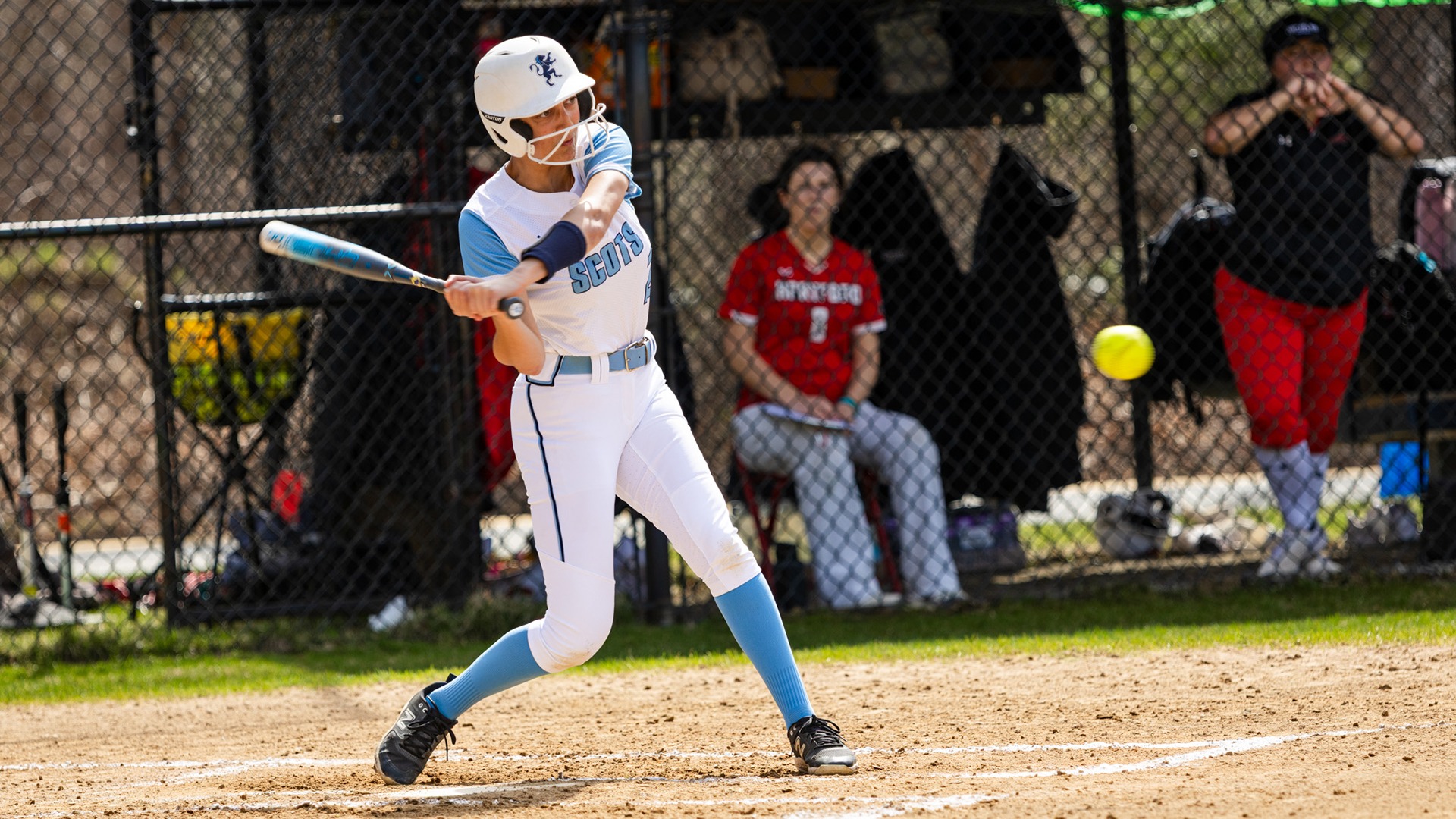 SFB25_HART-BC_Falco1_web