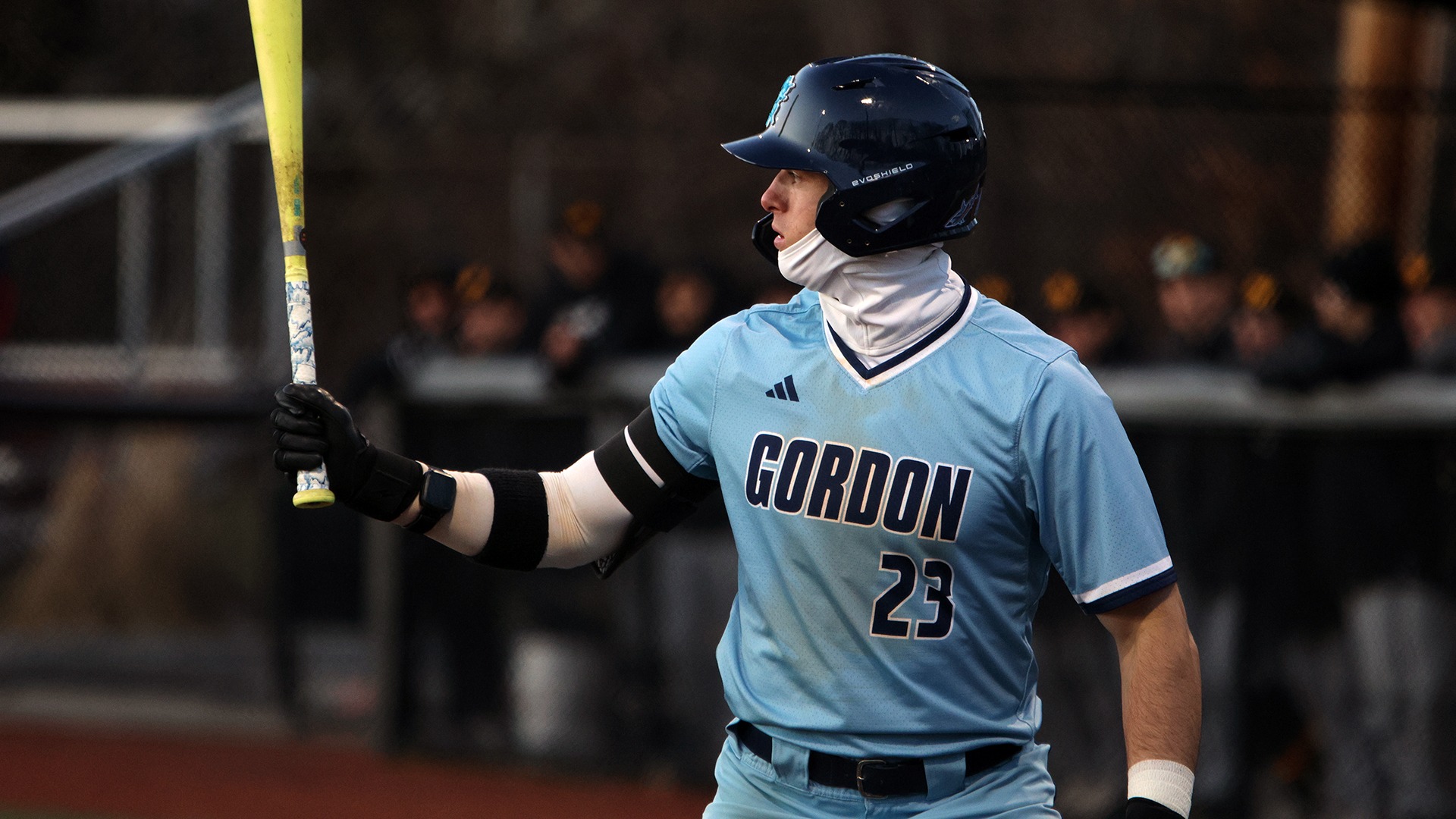 BSB26_WIT_Wilson2_web