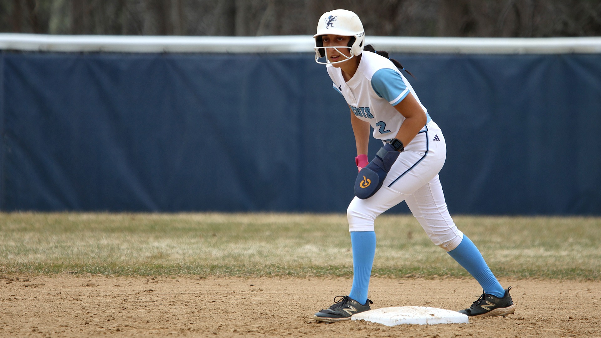 SFB26_WNE_Falco2_web