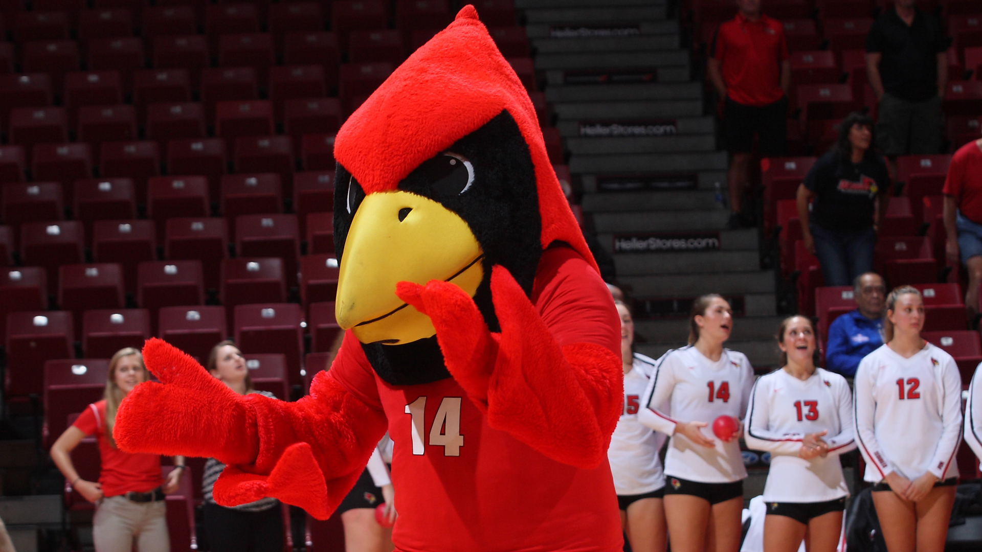 Reggie Redbird