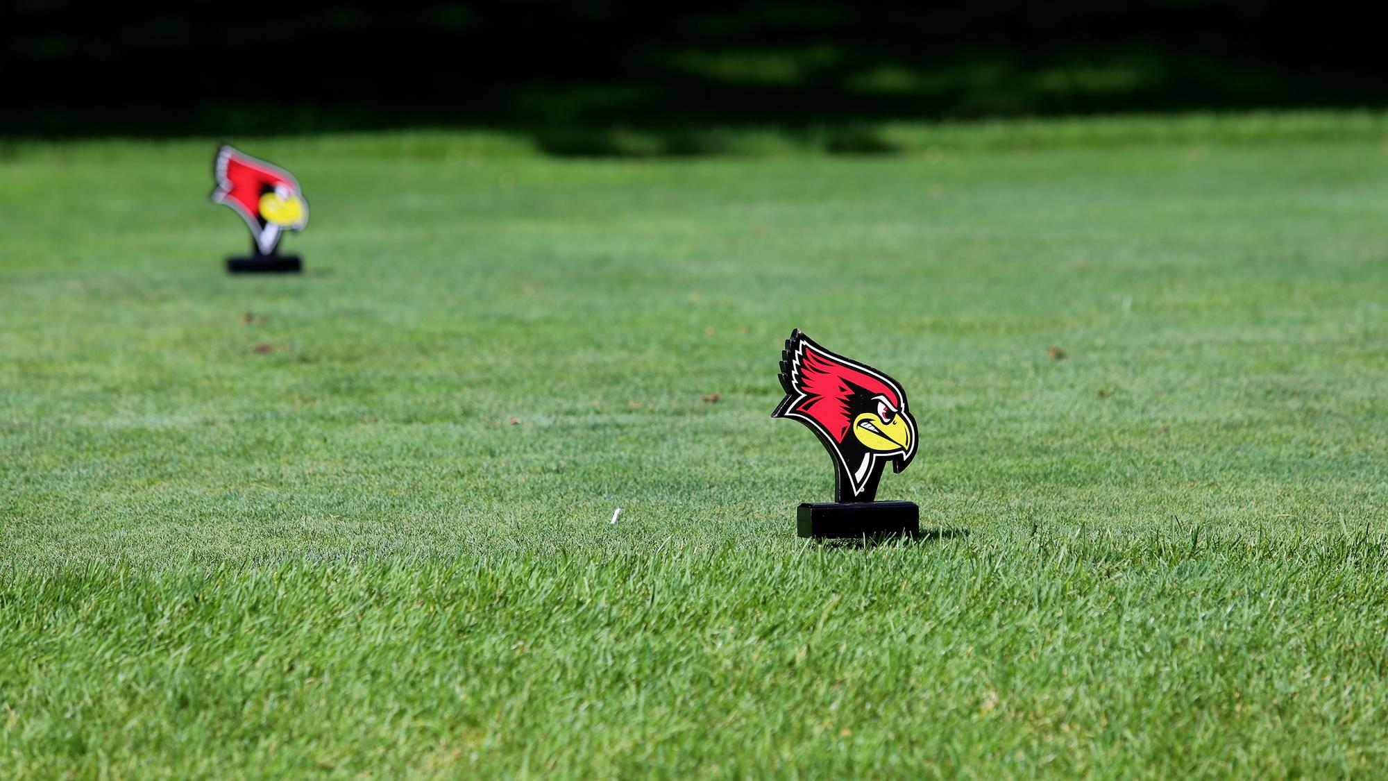 Generic Golf Action Graphic