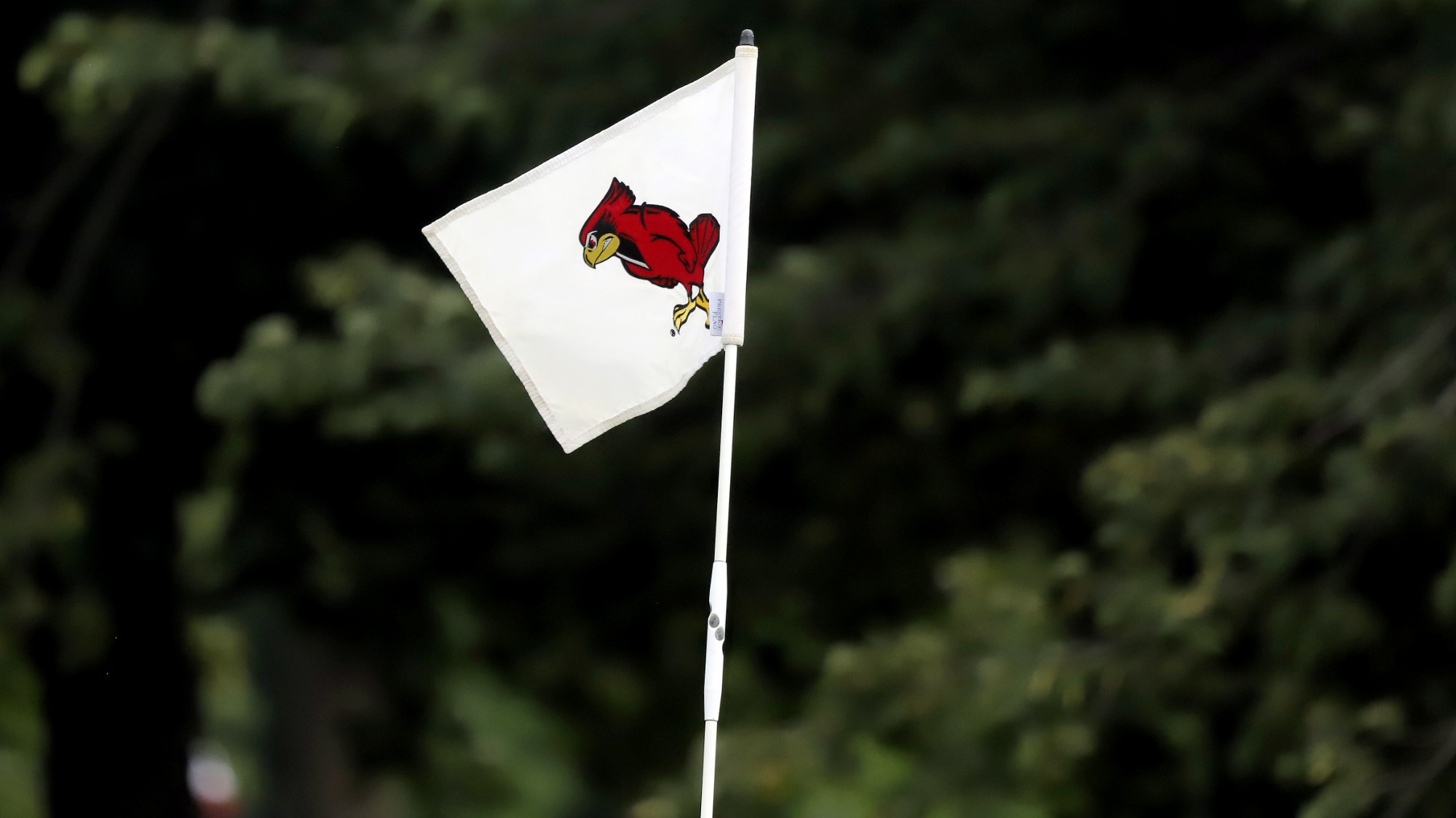 Golf Flag