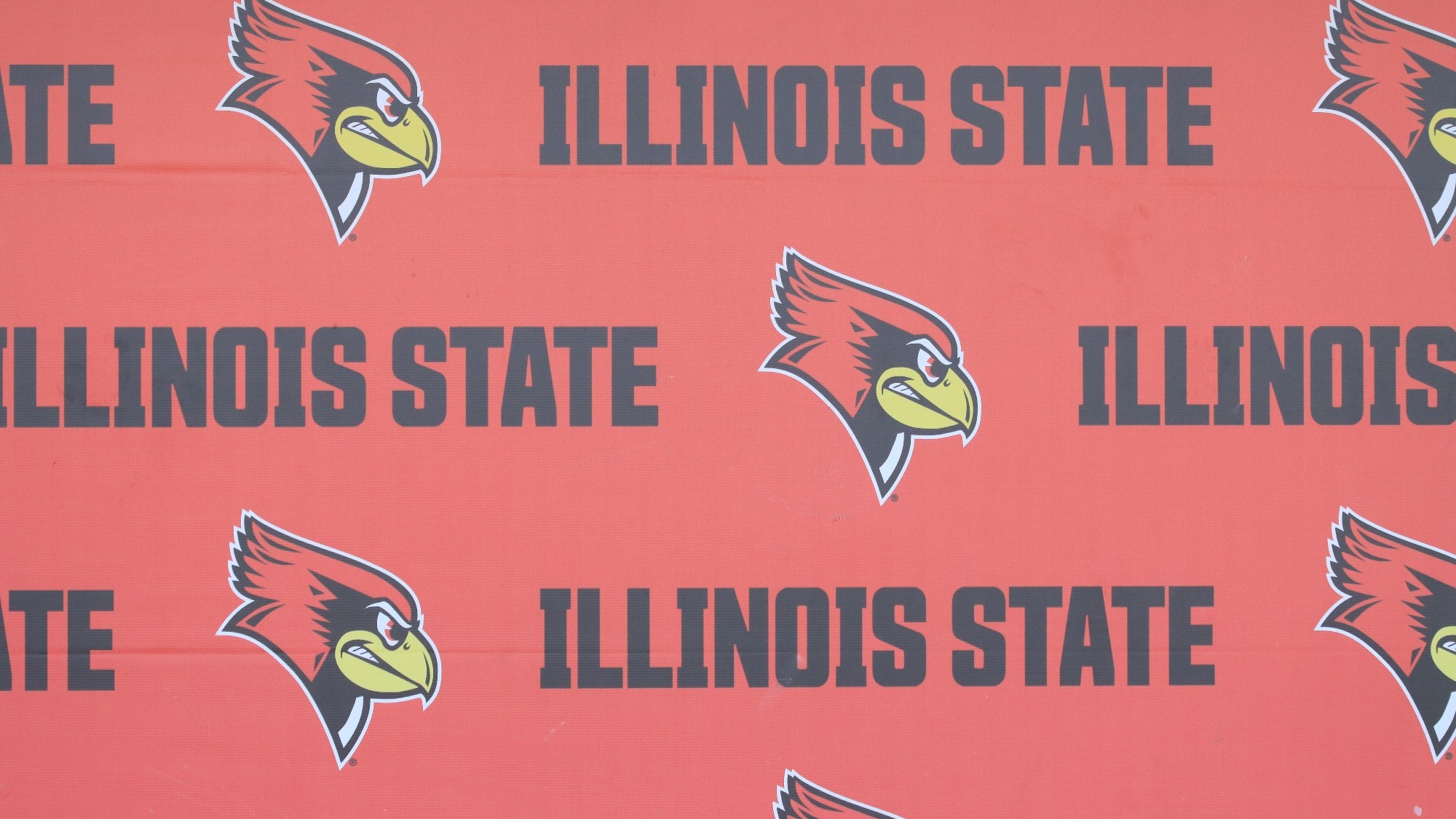 Baseball Dugout Wall