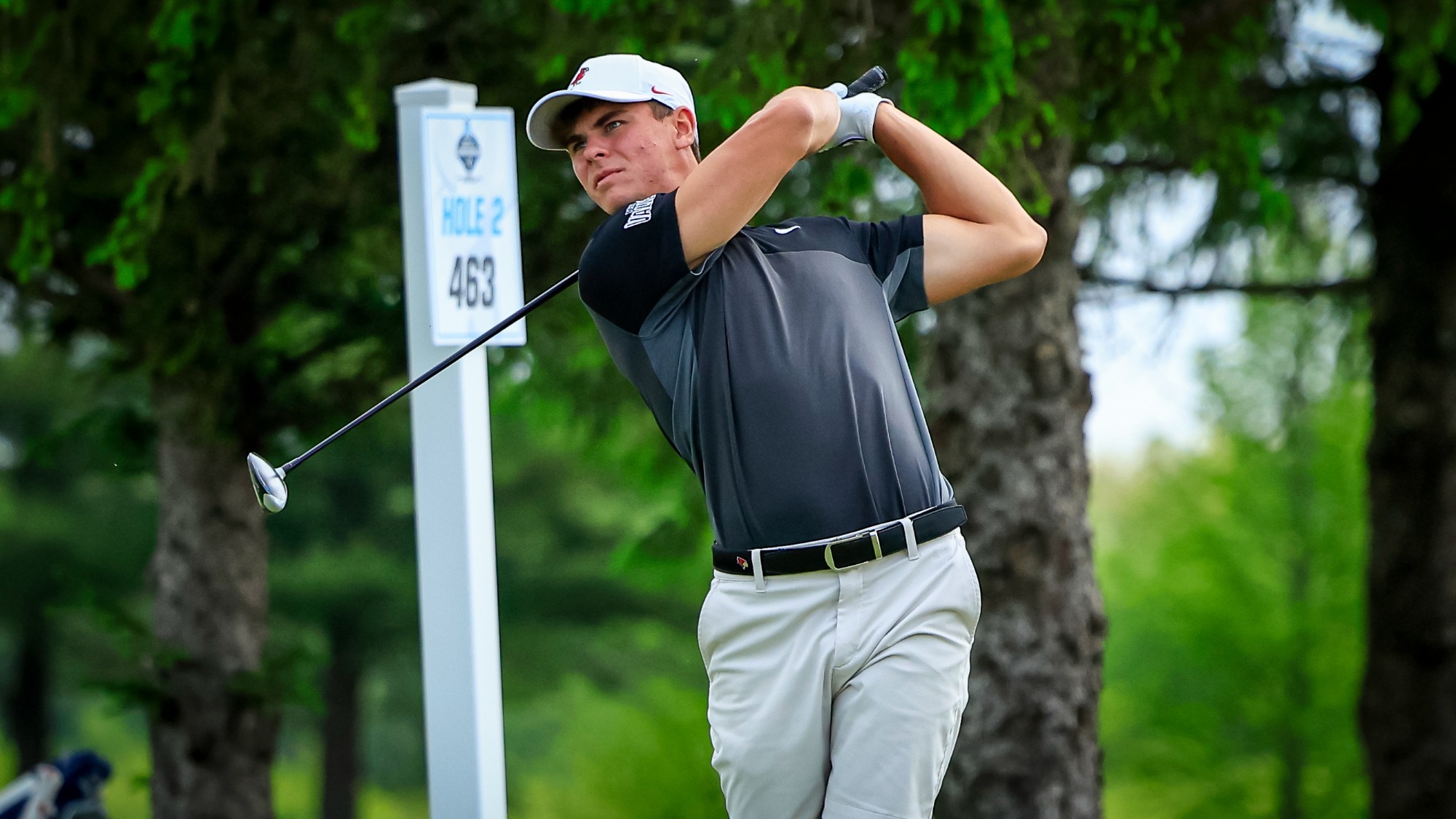 Pietro Pontiggia Action