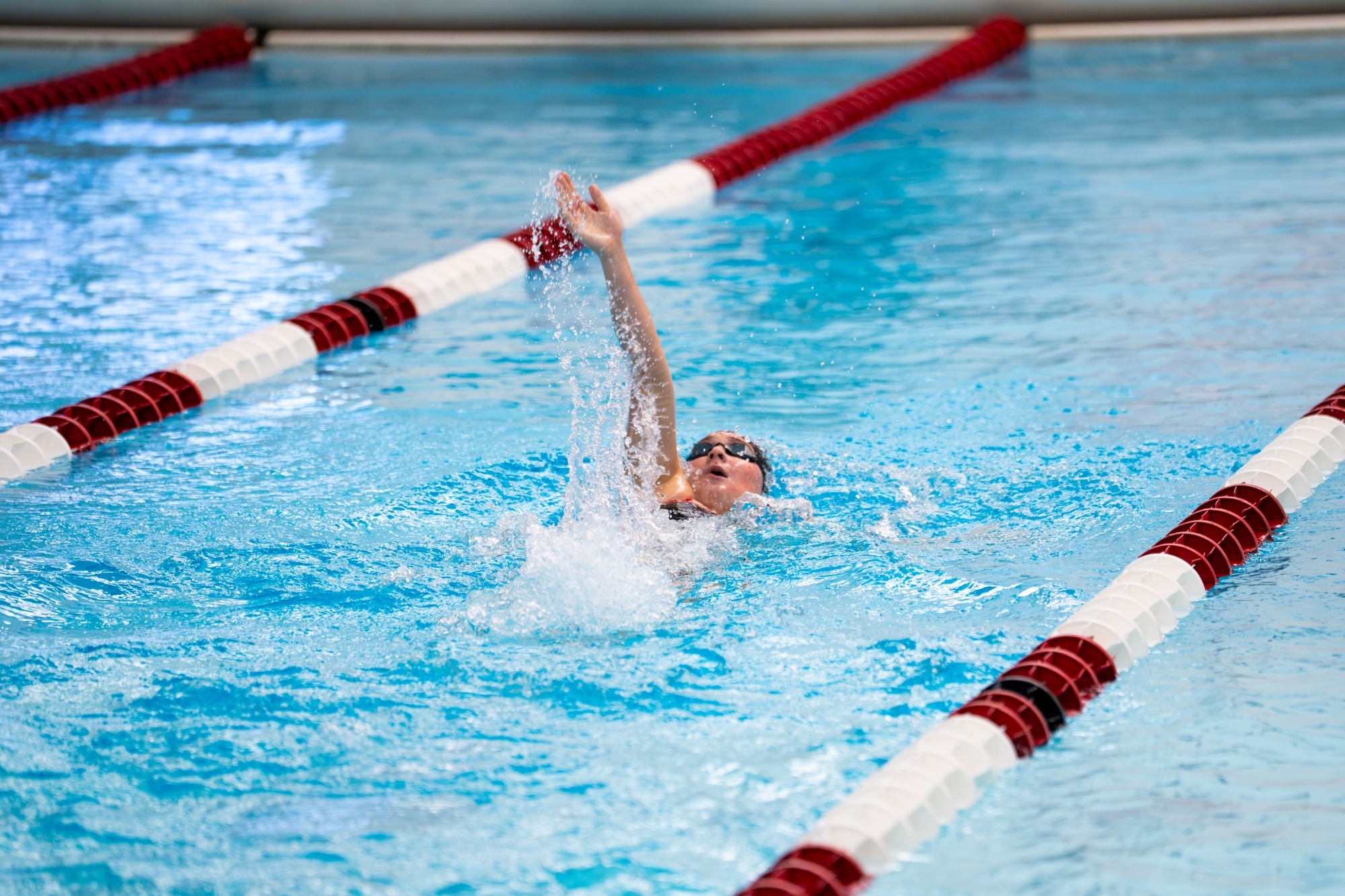swim home meet