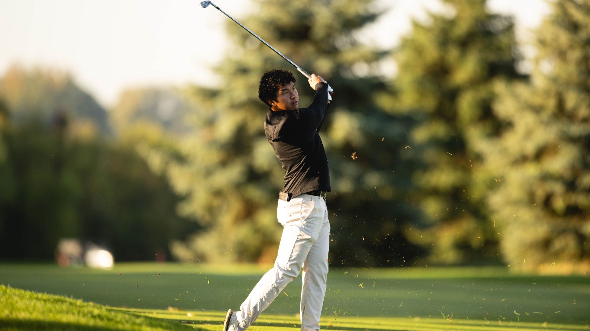 Francis Bautista Action