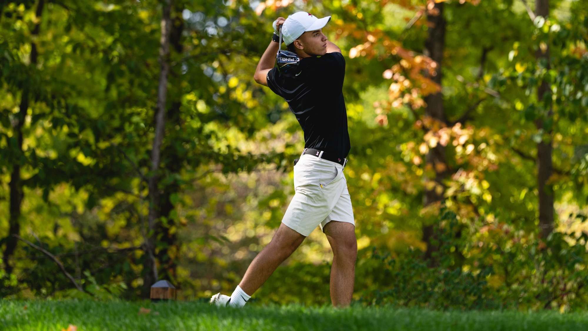 Gonzalo Cuellar Action