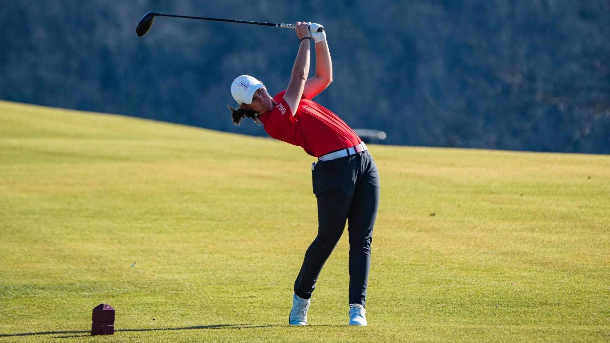 Elise Fennell Action