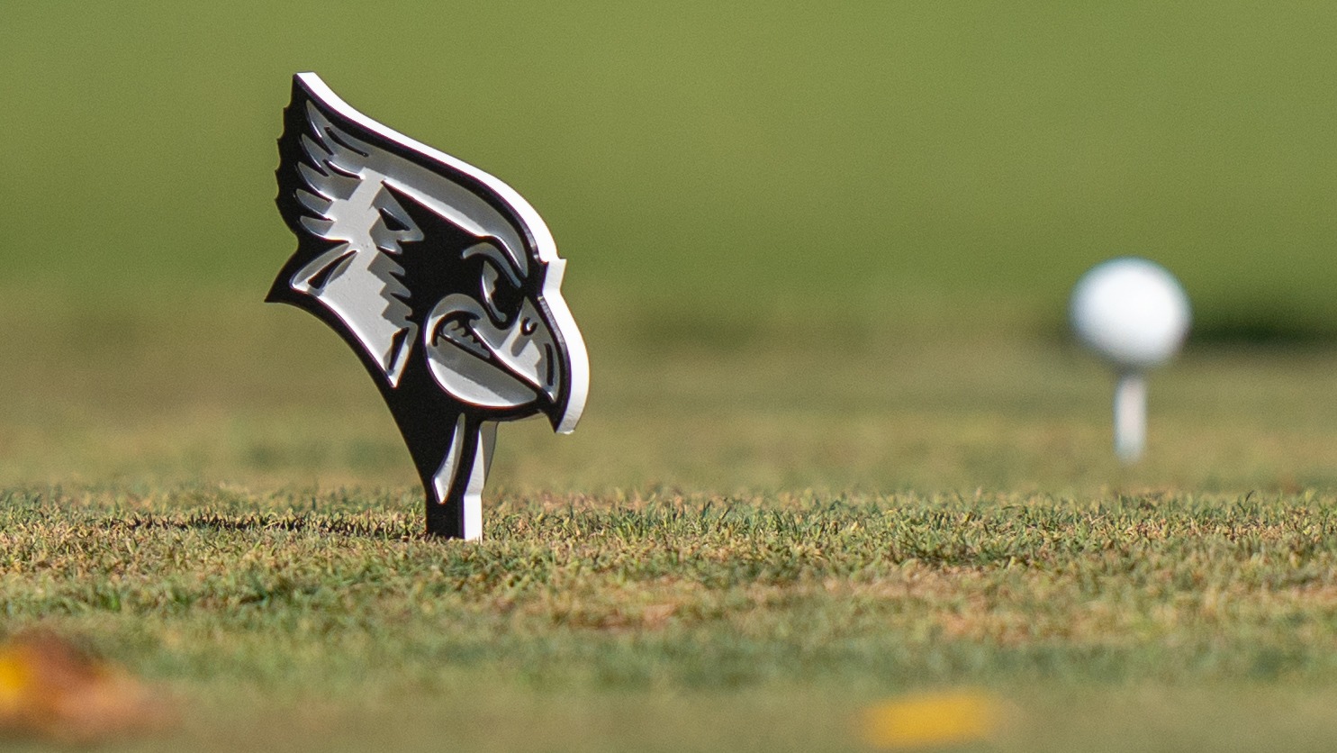 Women's Golf General Image