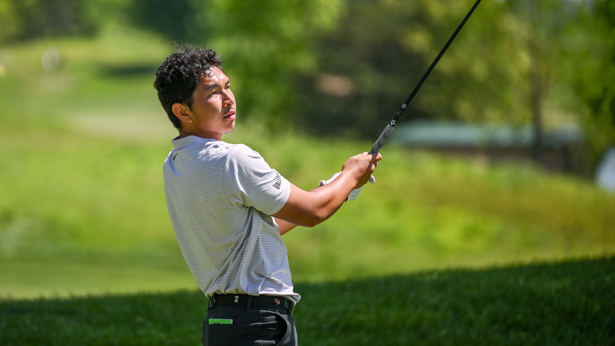 Francis Bautista Action