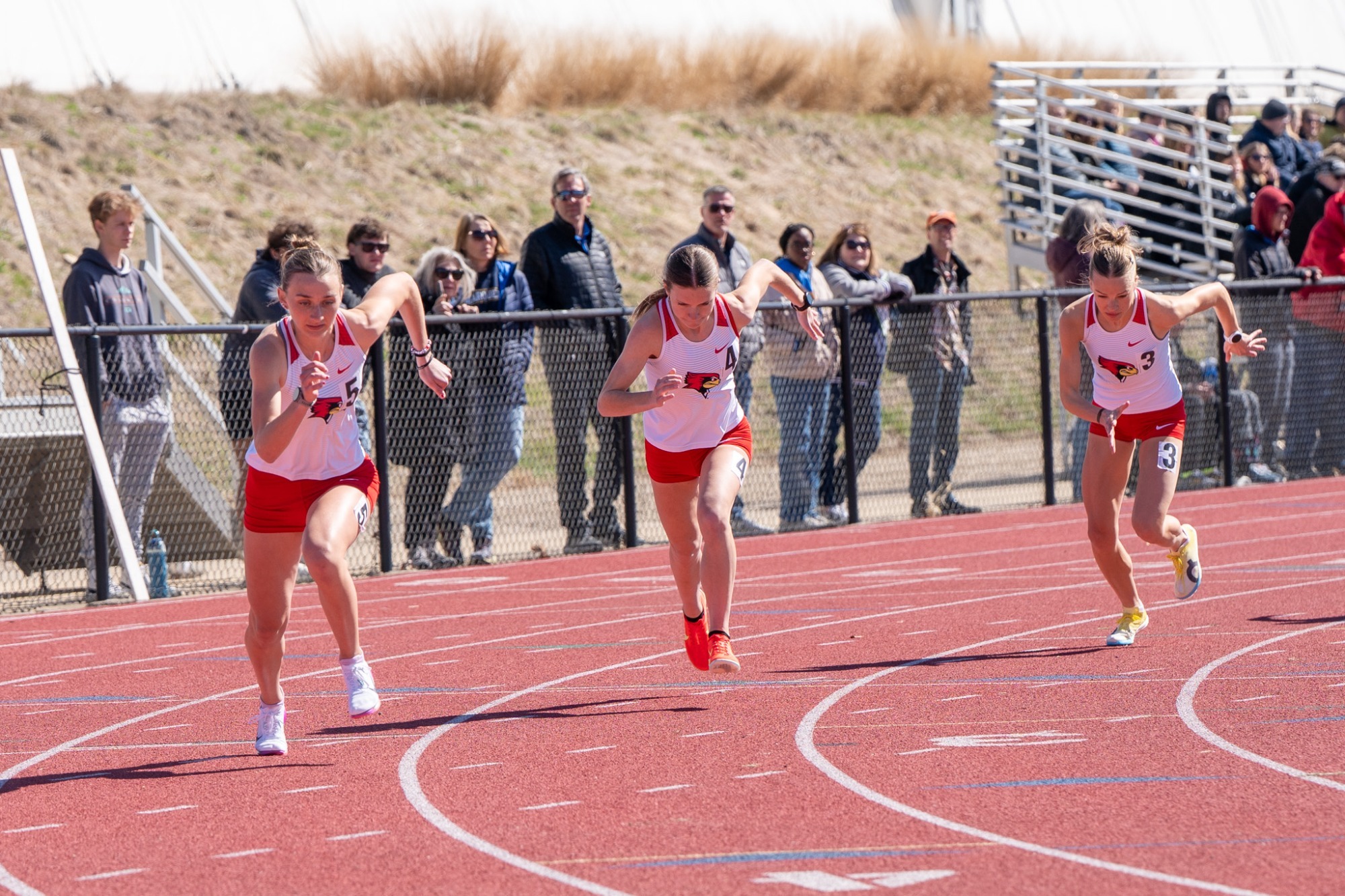 becca, zeibert, schedler