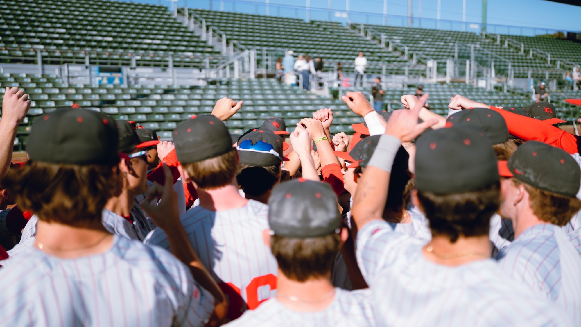 Baseball Team Huddle