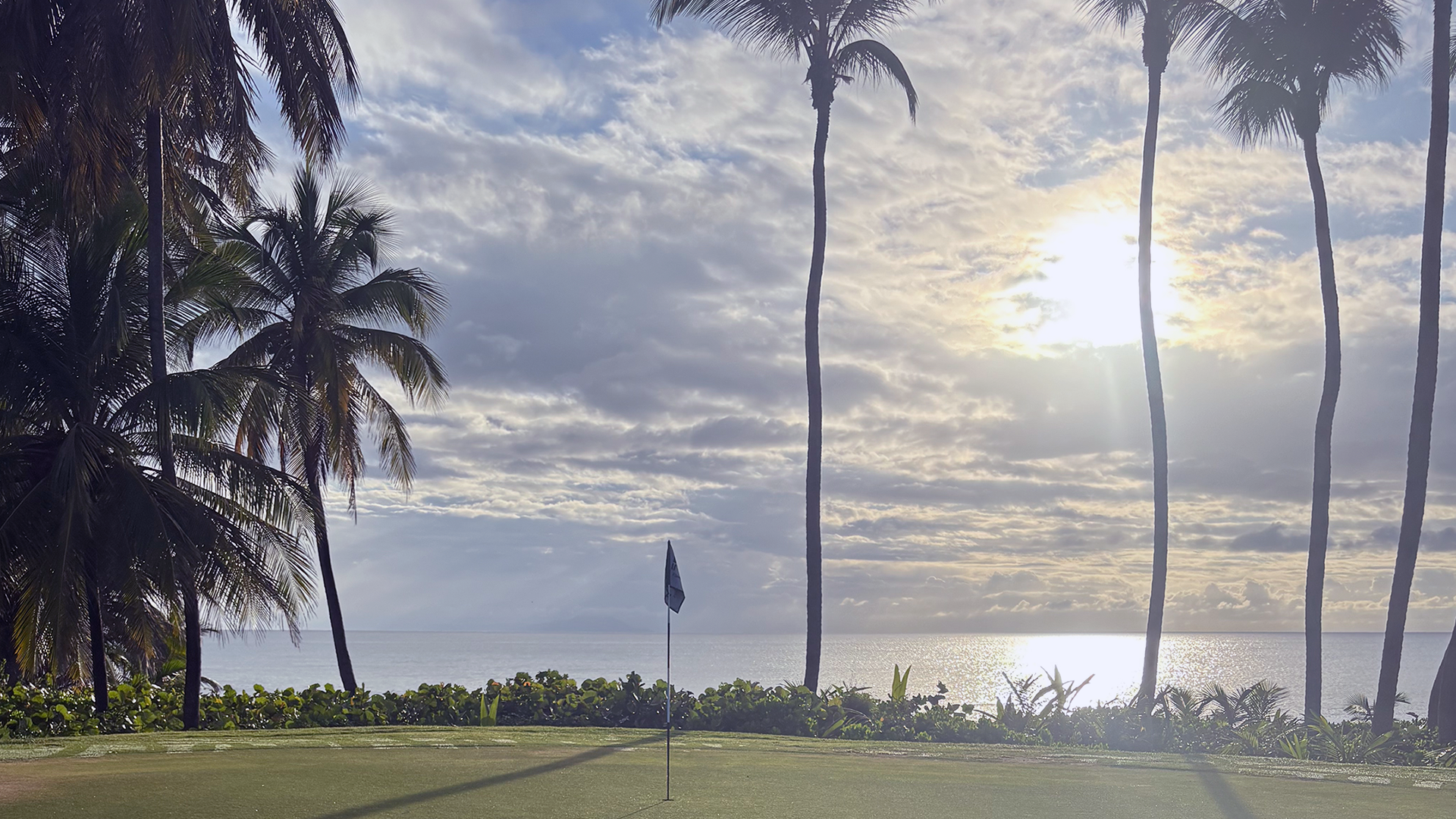 action-front-Puerto-Rico-1