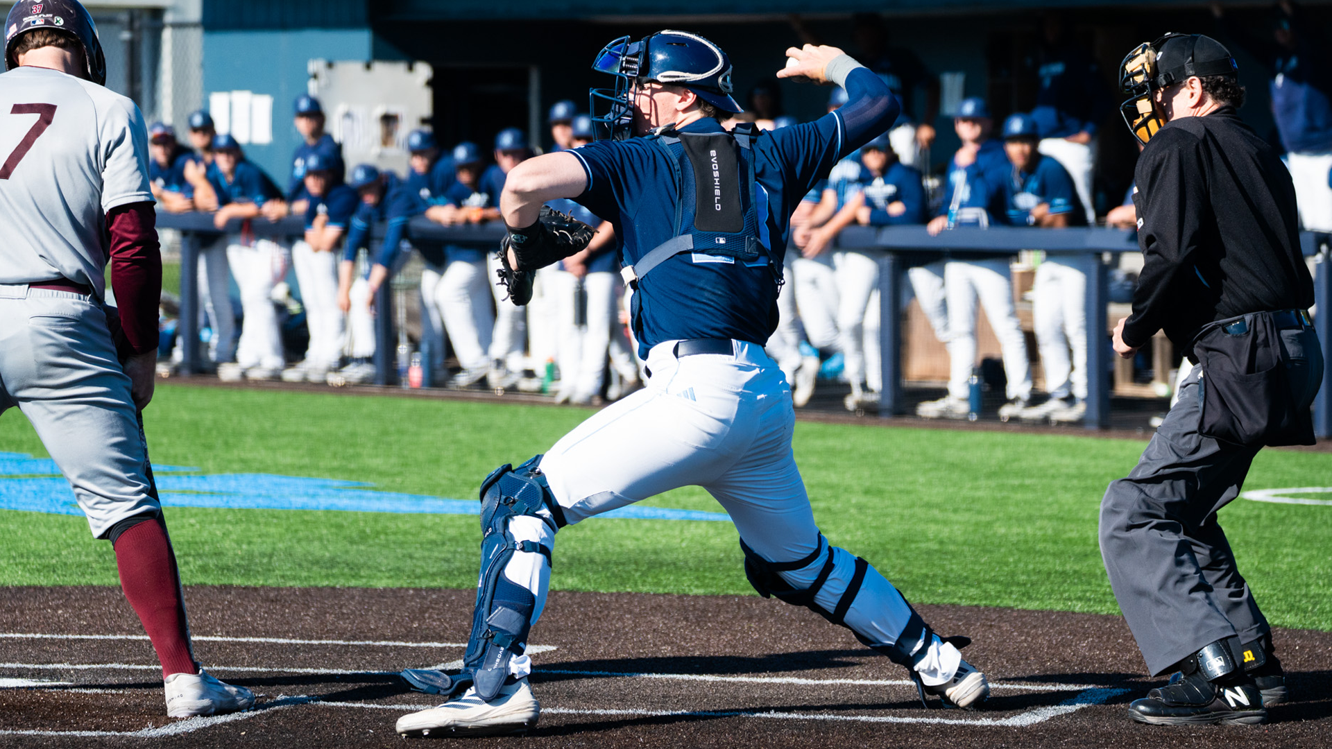 Baseball Header