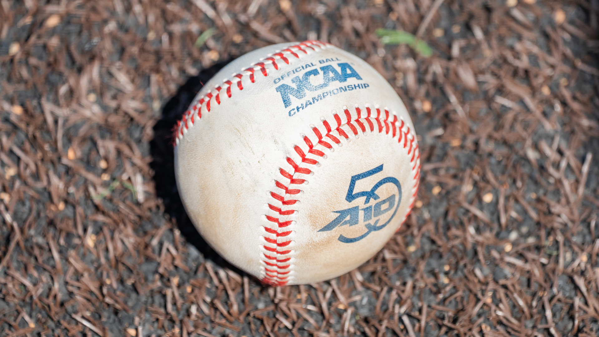 Baseball Header 