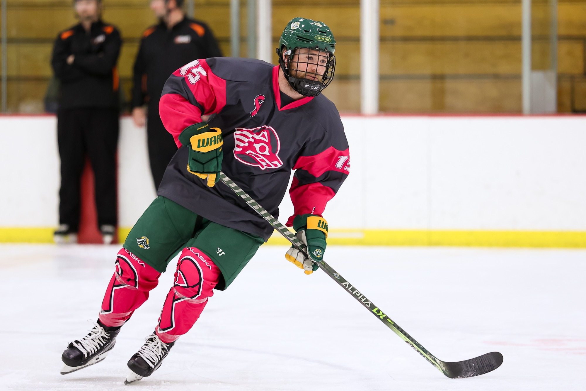Jamie Collins 202223 Men's Ice Hockey University of Alaska Anchorage