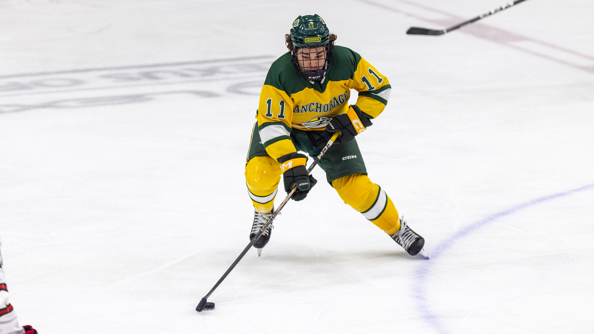 Dylan Contreras at Brown
