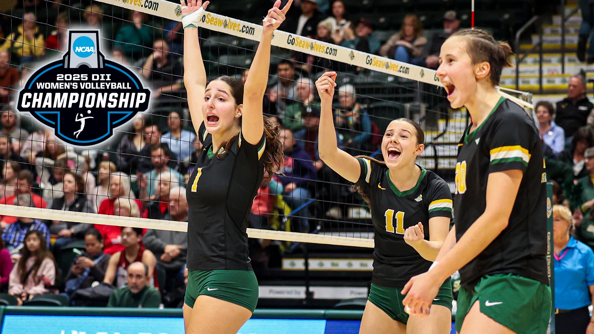 NCAA preview pic 2025