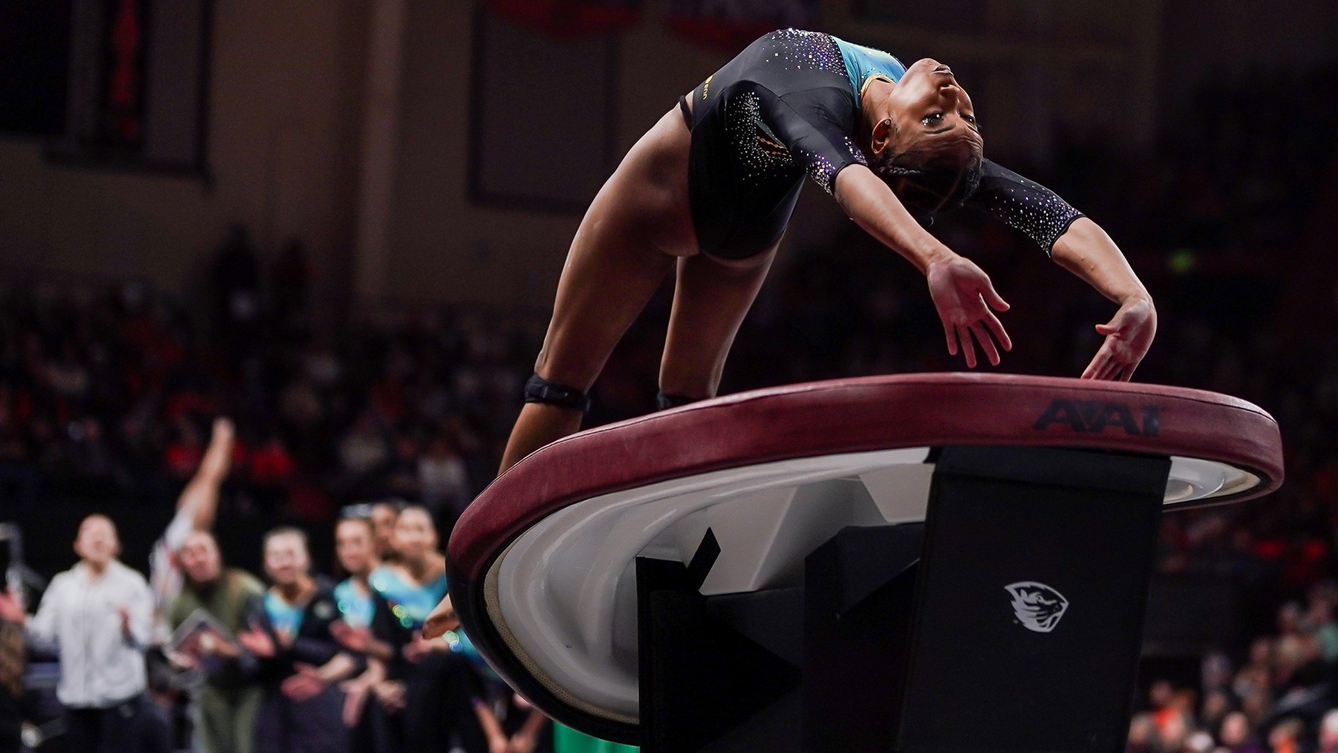 Duffus at OSU vault 2025