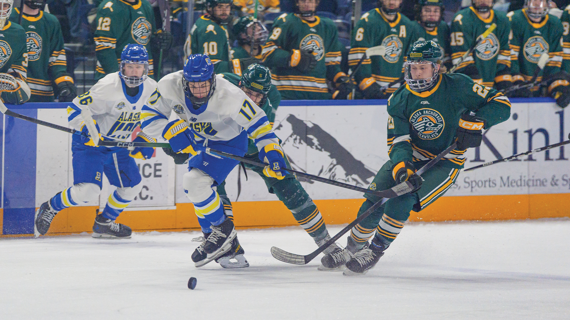 Aaron Reierson vs UAF