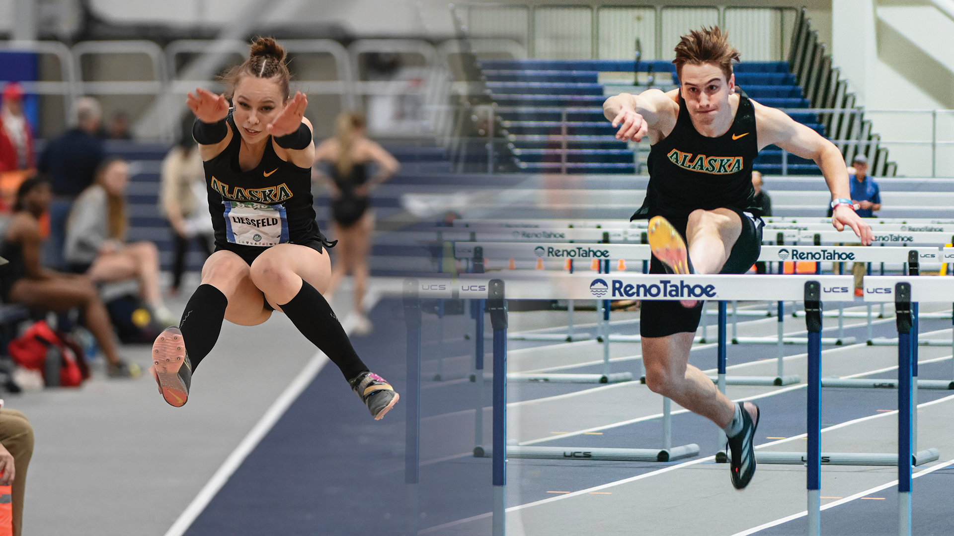 Liessfeld and Schmidtke