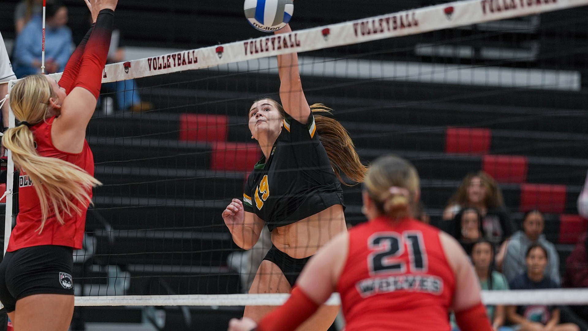 Beck at WOU 2026 kill