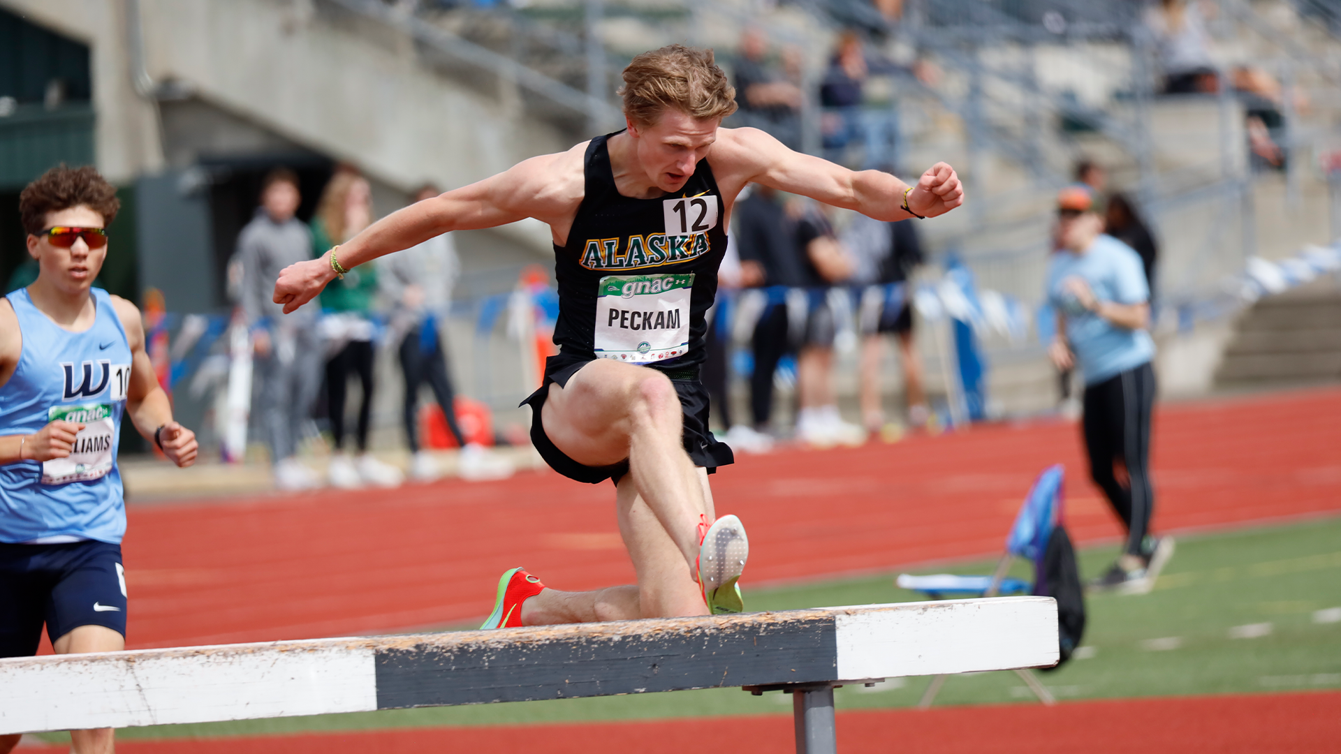 John Peckham Steeplechase 