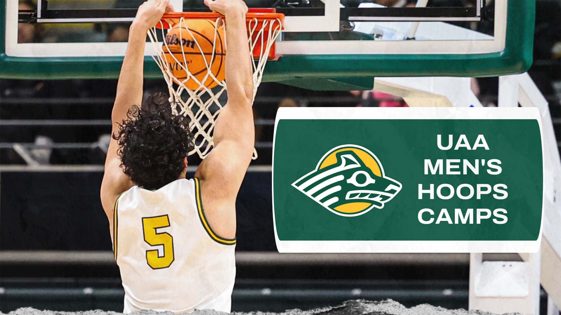 Basketball camps