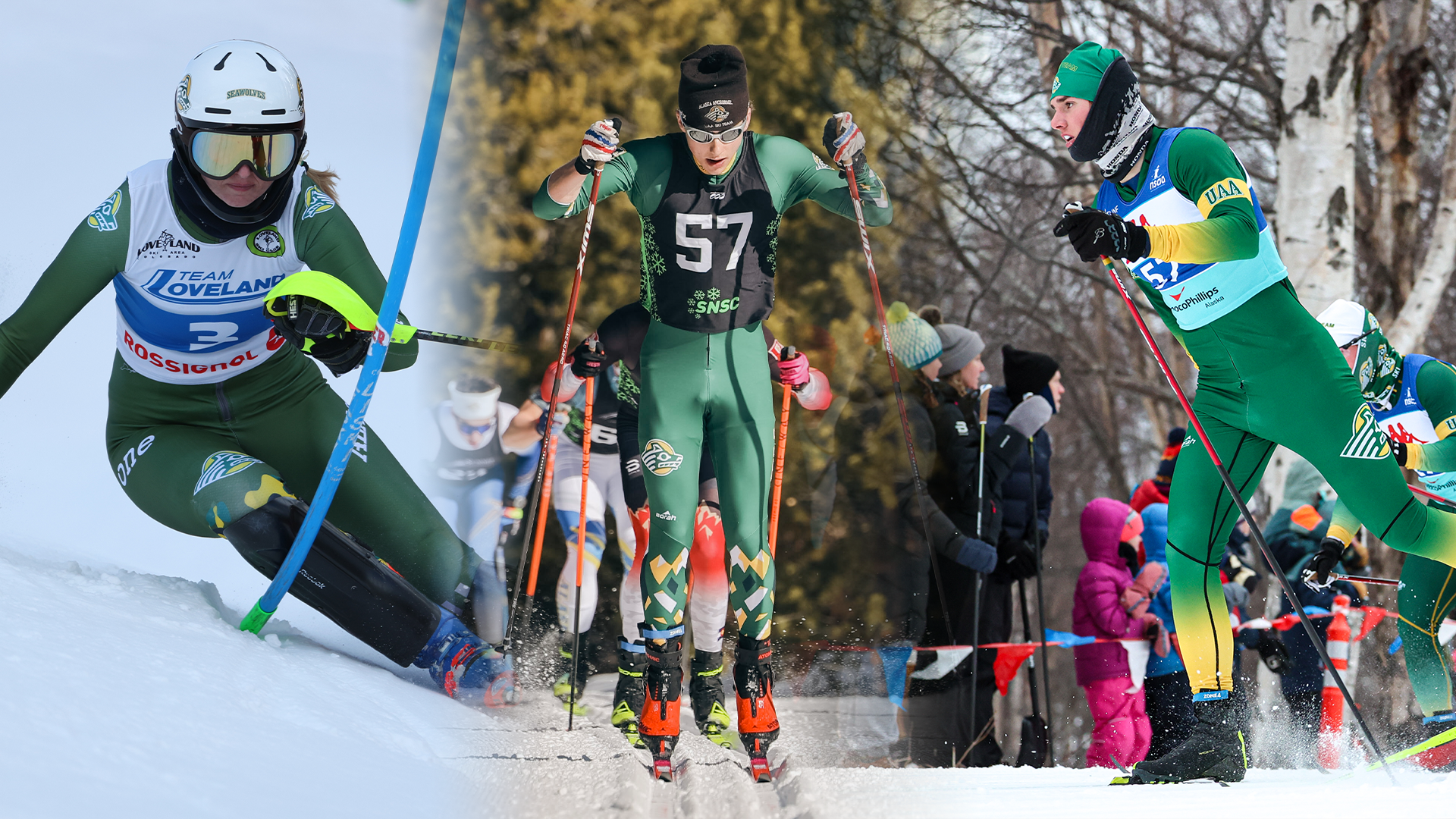 Ski trio earns academic all-american honors