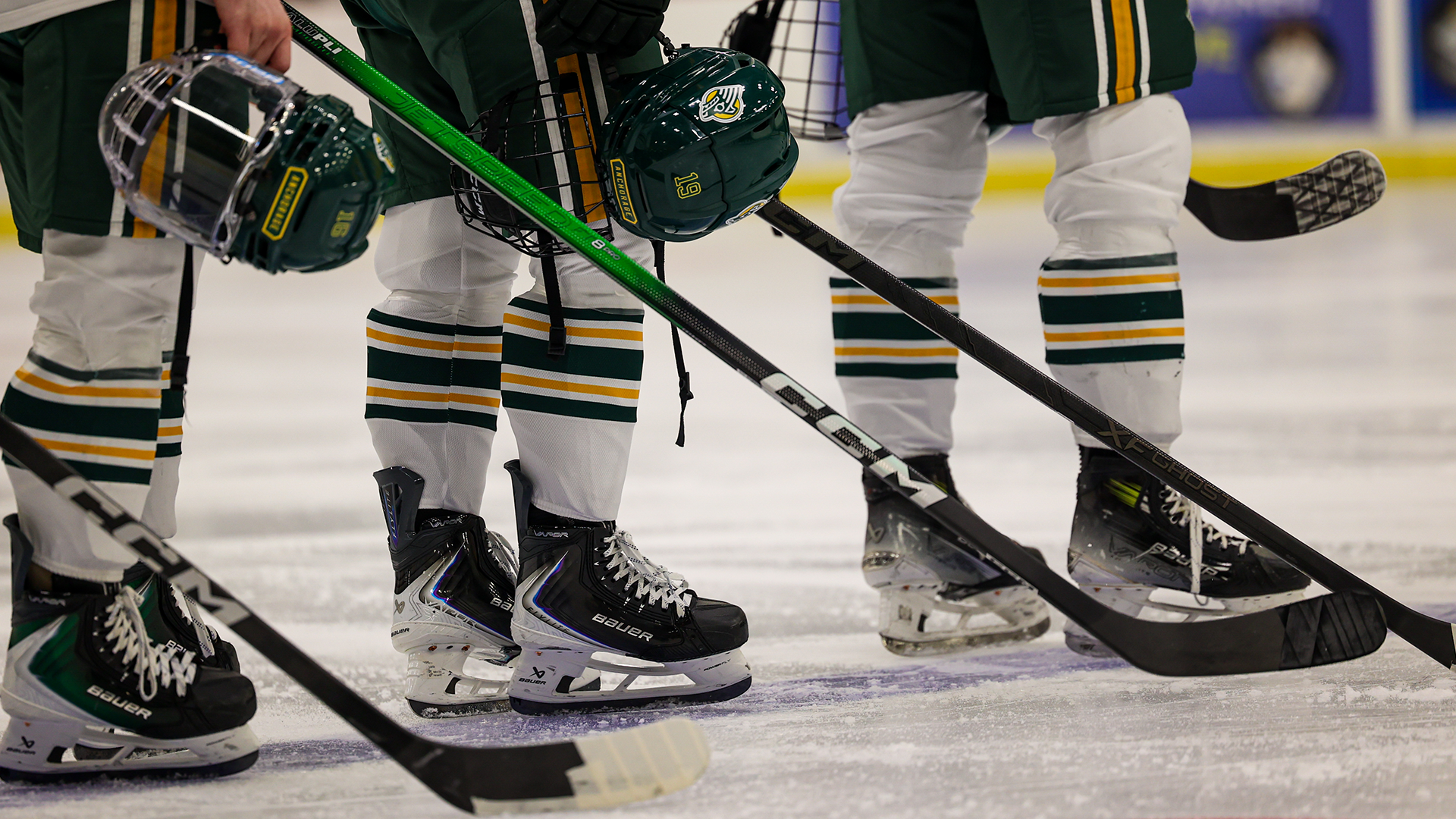 Hockey Skates