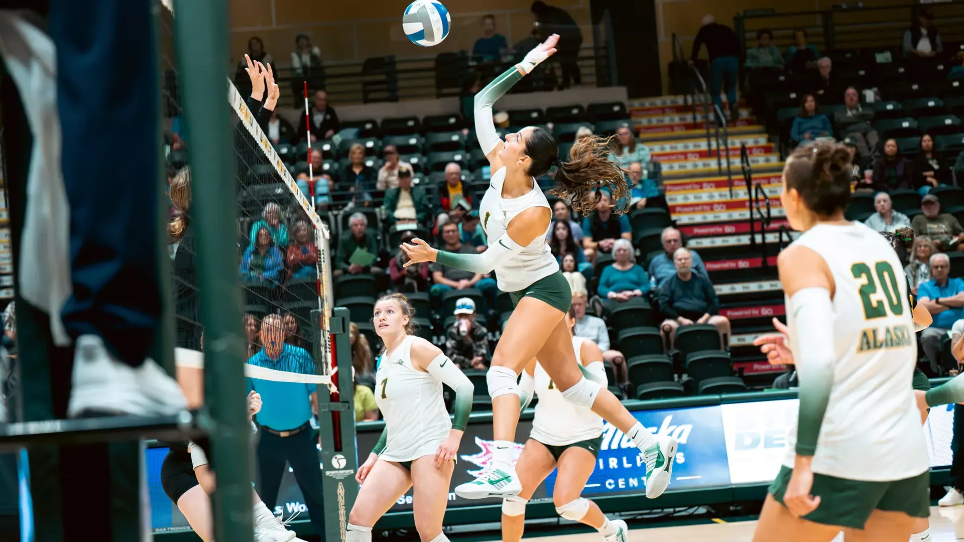 Seawolf Invite vs Chico
