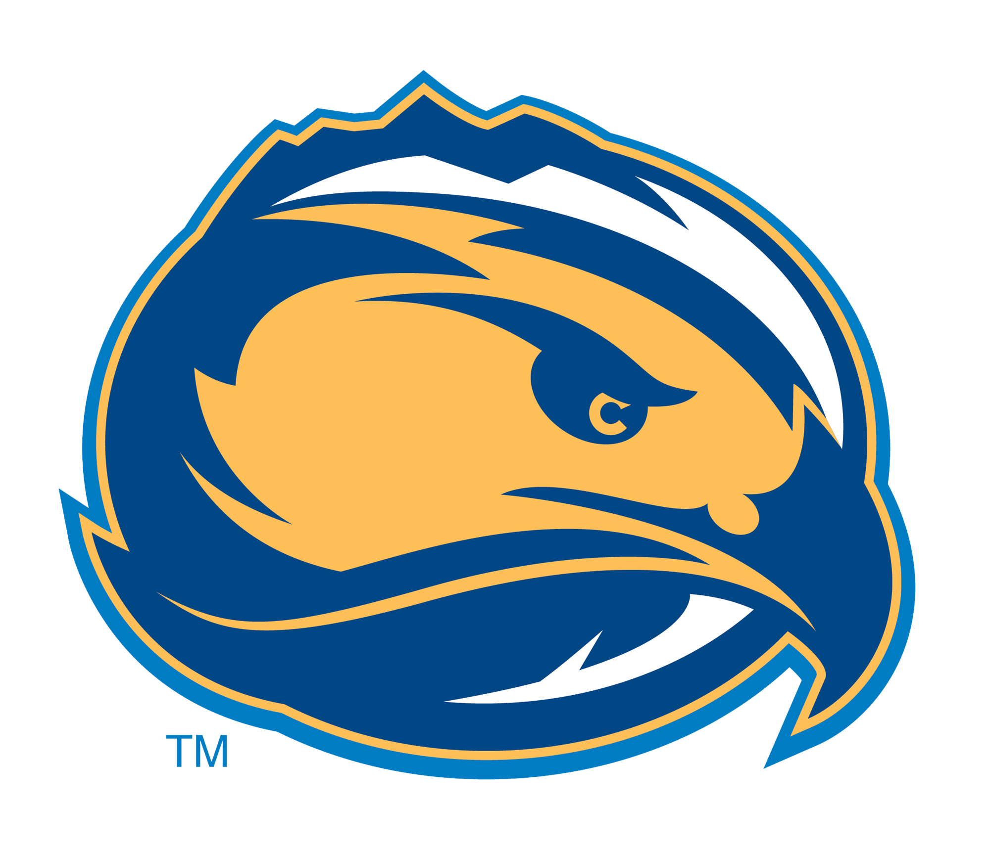 Skyhawk Bird Head PNG