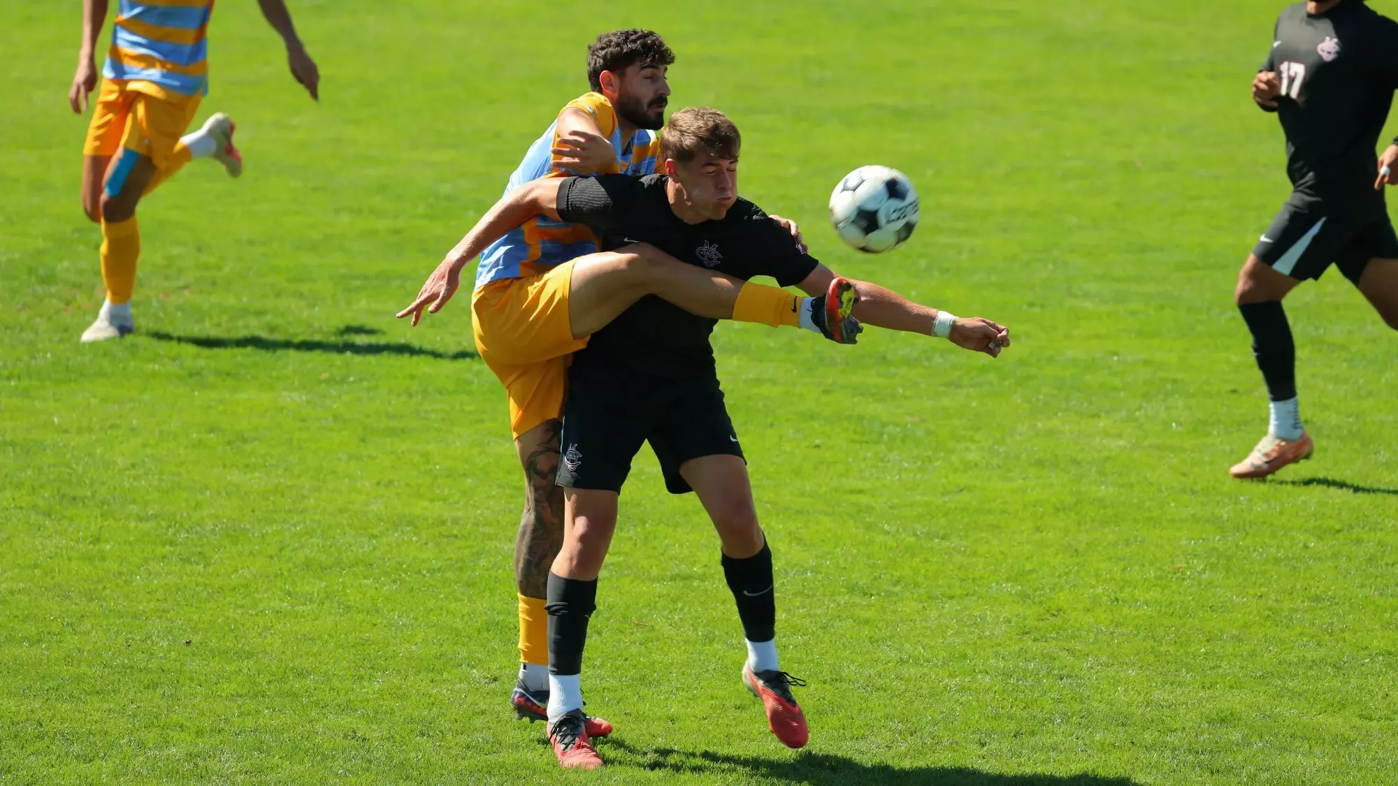 Skyhawks men's soccer vs. (RV) Colorado Mesa