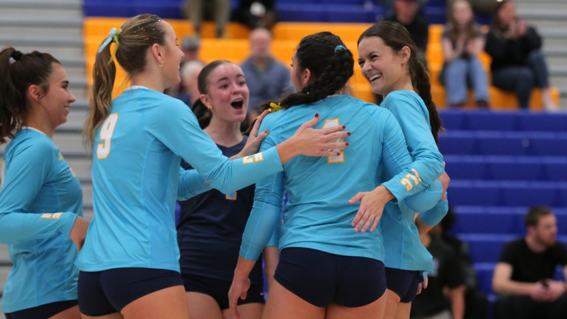 Volleyball celebration