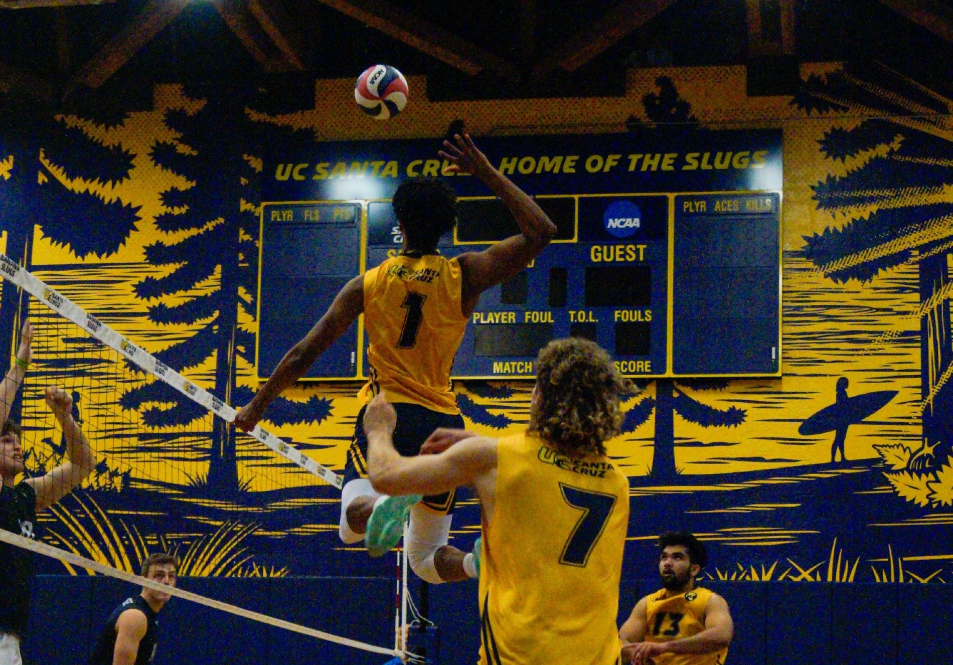 Men's volleyball goes 11 to open roadtrip University of California
