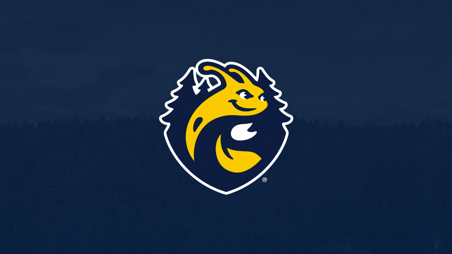 redwood slug with redwoods