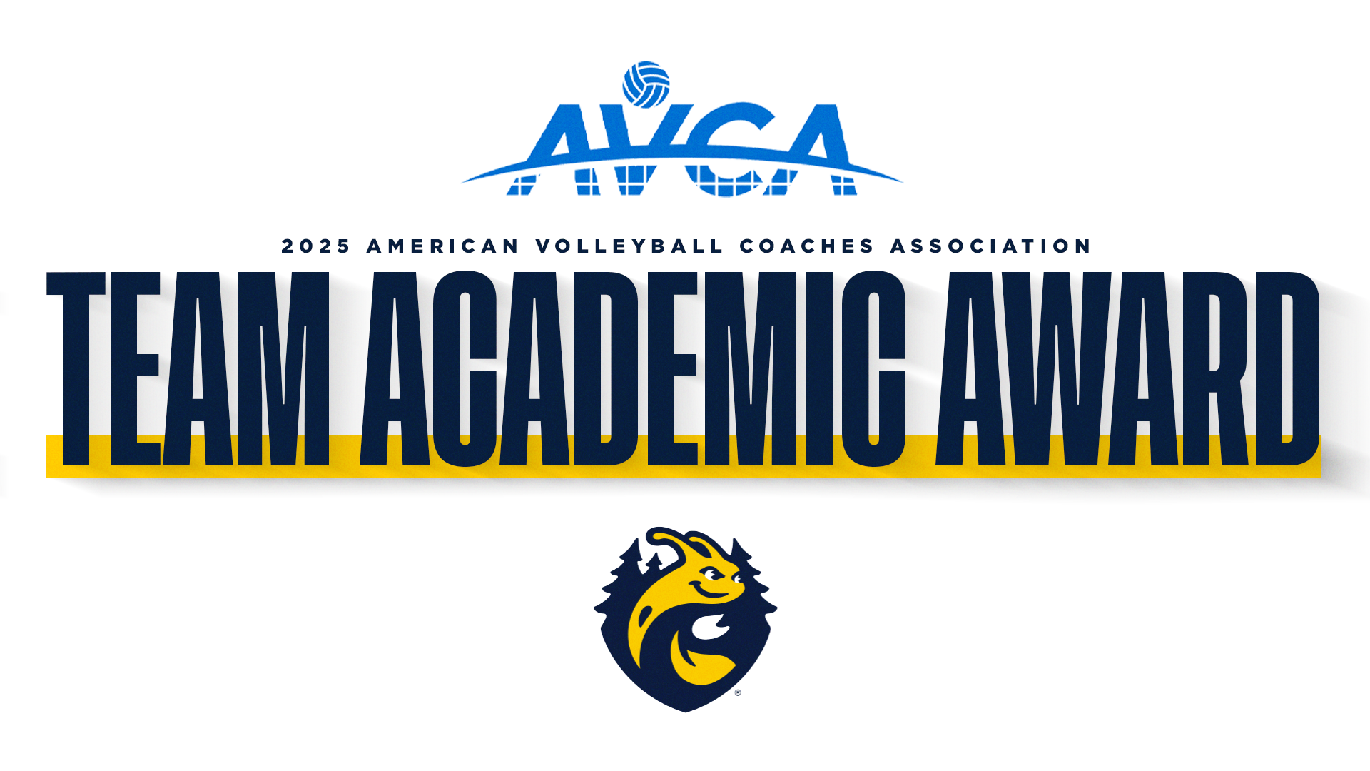 avca mens vb academic award