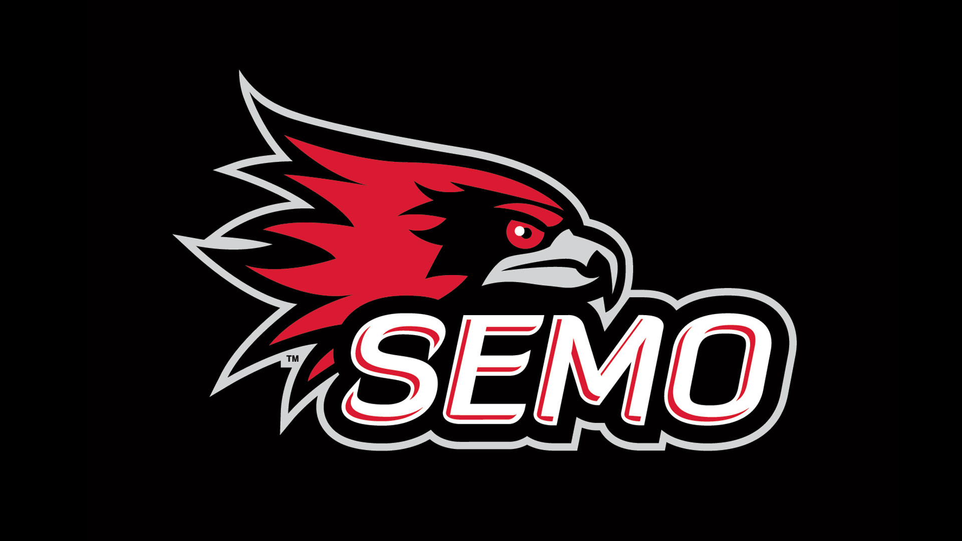 SEMO New Logo Banner